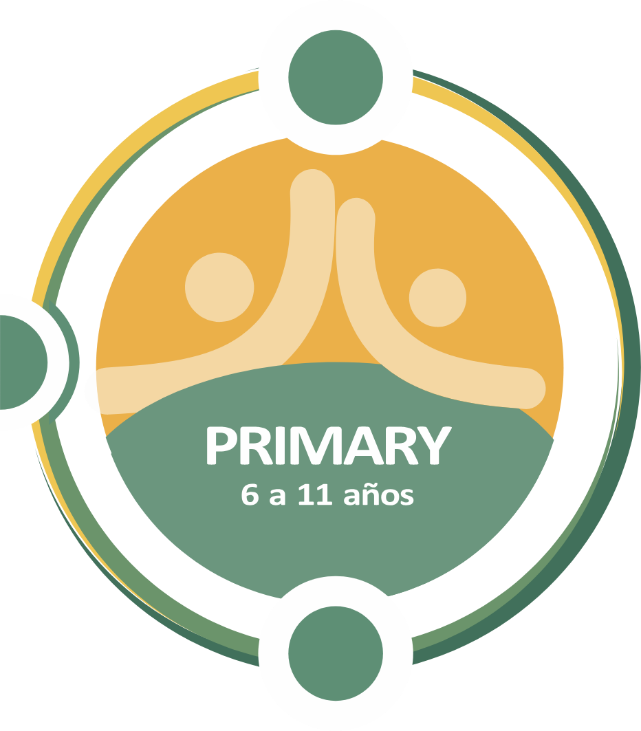 Primary — 6 a 11 años